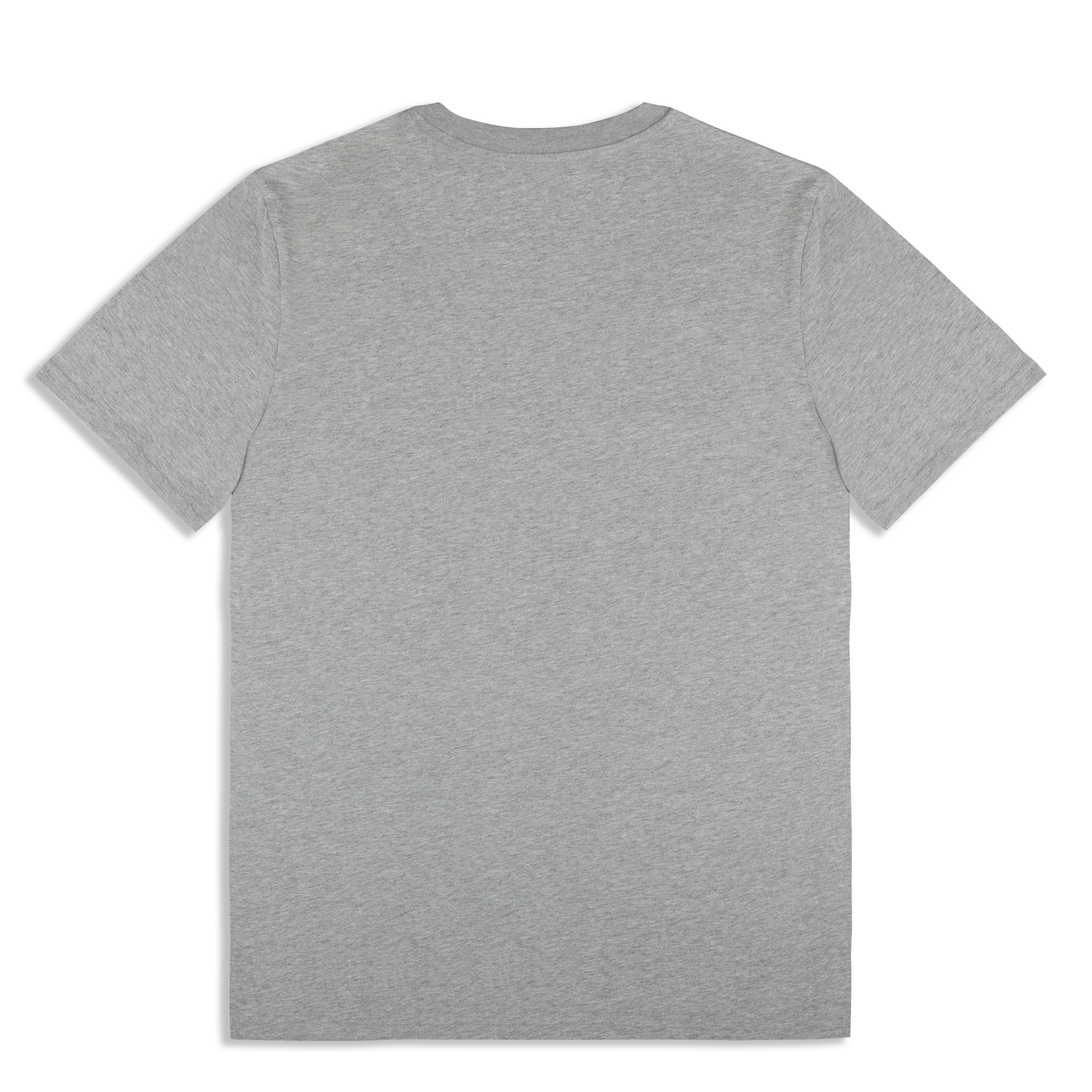 Live '25 Distressed Tour Logo T-Shirt Grey